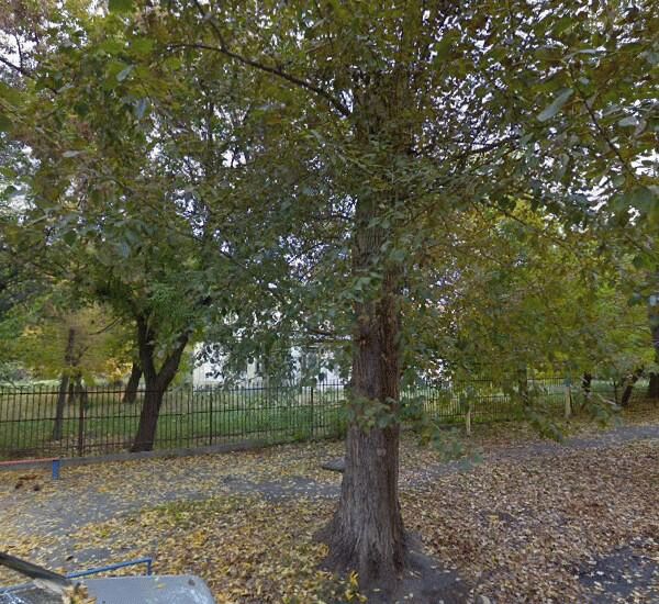 Банкомат Челябинвестбанка по адресу ул. Масленникова,  д. 2