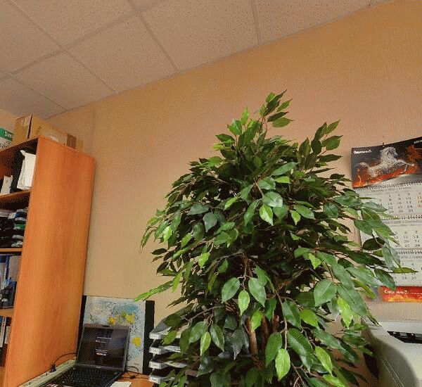 Отделение банка Траст по адресу ул. Российская, д. 67